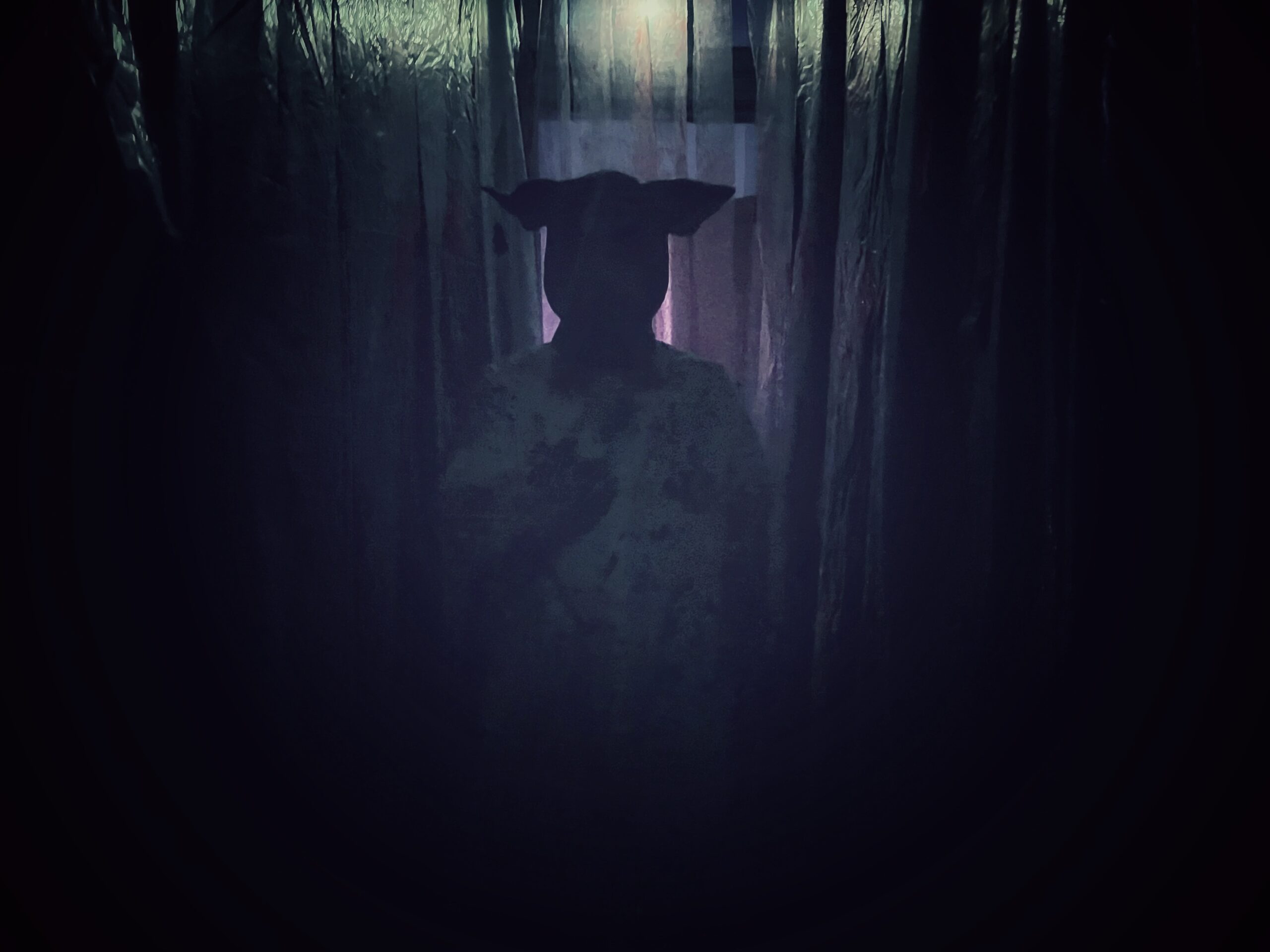 Castle Of Nightmares